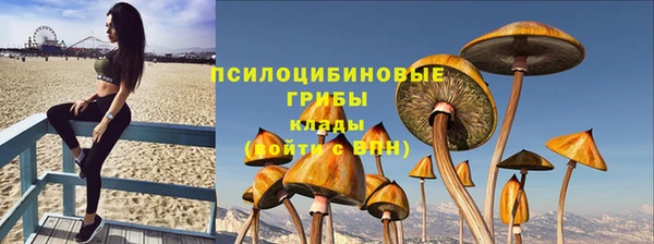 прущий лед Армянск