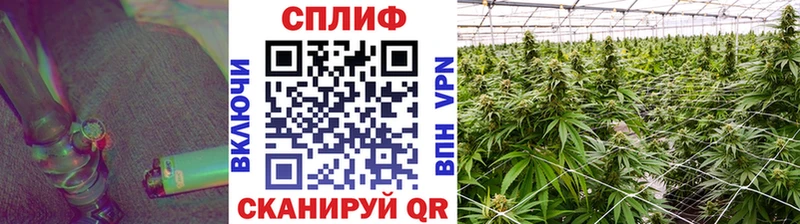 Каннабис семена  как найти   Певек 